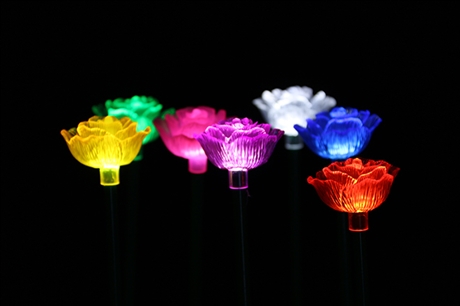 LED˿UL֤ļҪҪ