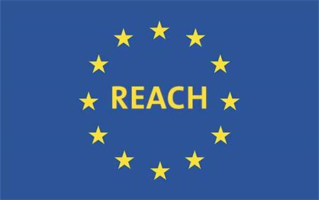 ŷ - ڵ1907/2006ʮ˵REACH
