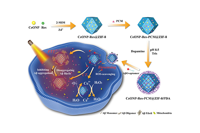 CeONP-Res-PCM@ZIF-8/PDA Ʊ AO кеӦʾͼ